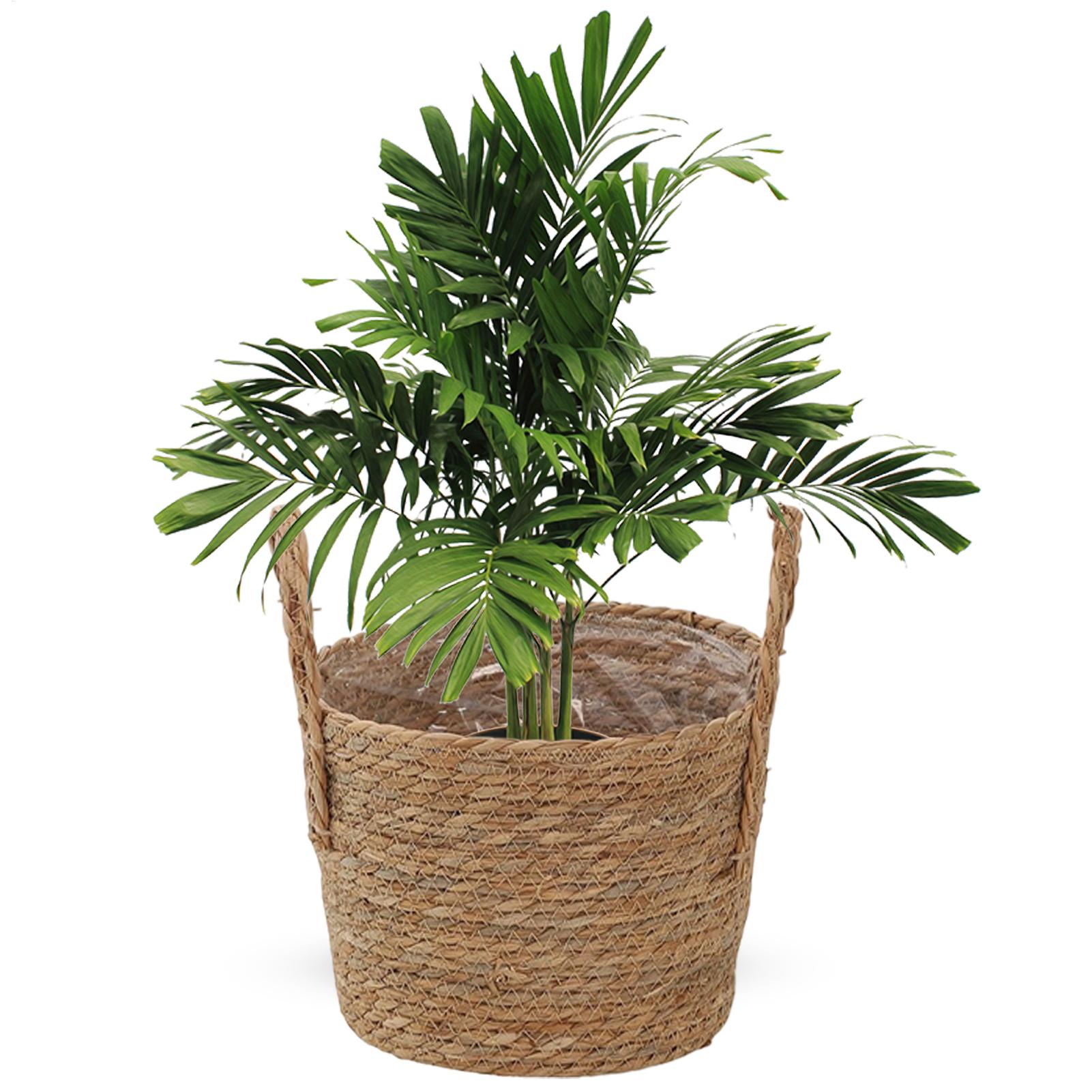 Planter Basket Straw Flowerpot - огляд і ціна Rattan Plant Basket