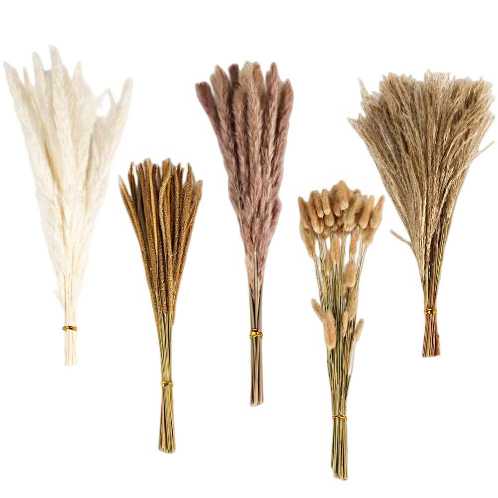 Autumn Vintage Mixed Dried Flo - огляд і ціна Pampas Grass Decor